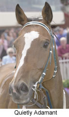 r2qad2.jpg (16168 bytes)