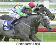 r3shelblass.jpg (18232 bytes)