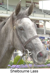 r3shelblass2.jpg (19104 bytes)