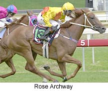 r5rosearch.jpg (18828 bytes)