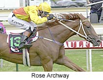 r5rosearch2.jpg (19098 bytes)