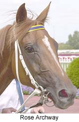 r5rosearch3.jpg (14005 bytes)