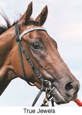 r6trjwls.jpg (17961 bytes)