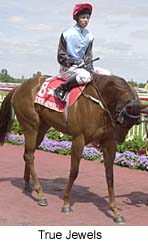 r6trjwls3.jpg (14721 bytes)