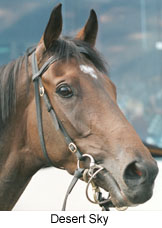 r7dessky.jpg (16170 bytes)