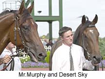 r7horses.jpg (16285 bytes)