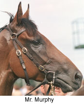 r7mrm.jpg (16500 bytes)