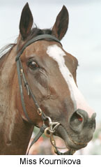 r8missk2.jpg (15703 bytes)