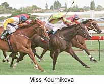 r8mmissk.jpg (16065 bytes)