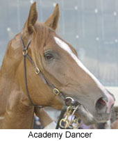 r9acaddanc2.jpg (15257 bytes)