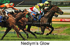 Nediym's Glow (14872 bytes)