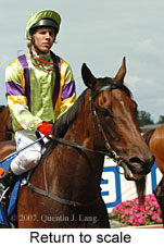 Return to scale (15361 bytes)