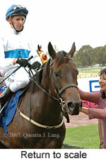 Return to scale (15361 bytes)