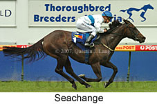 Seachange (14872 bytes)