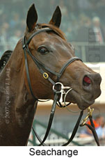 Seachange (14872 bytes)