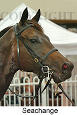 Seachange (14872 bytes)