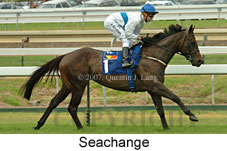 Seachange (14872 bytes)