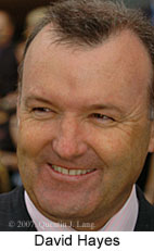David Hayes (14872 bytes)