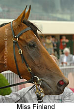 Miss Finland (14872 bytes)