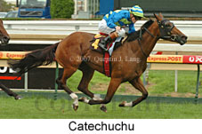 Catechuchu (14872 bytes)