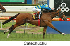 Catechuchu (14872 bytes)