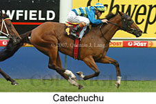 Catechuchu (14872 bytes)