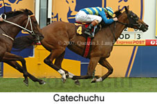 Catechuchu (14872 bytes)