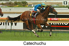 Catechuchu (14872 bytes)