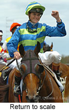 Return to scale (15361 bytes)