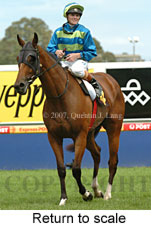 Return to scale (15361 bytes)