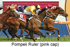 Pompeii Ruler (14872 bytes)