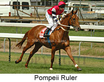 Pompeii Ruler (14872 bytes)