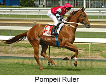 Pompeii Ruler (14872 bytes)