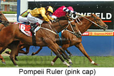 Pompeii Ruler (14872 bytes)