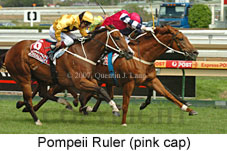 Pompeii Ruler (19622 bytes)