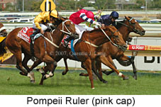 Pompeii Ruler (14872 bytes)