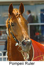 Pompeii Ruler (14872 bytes)