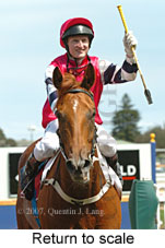 Return to scale (15361 bytes)