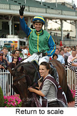 Return to scale (15361 bytes)