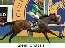 Sleek Chassis (19622 bytes)