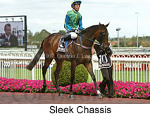 Sleek Chassis (14872 bytes)