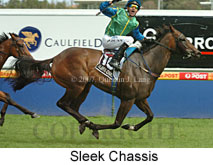 Sleek Chassis (14872 bytes)