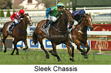 Sleek Chassis (14872 bytes)