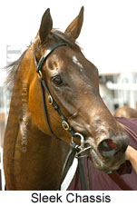 Sleek Chassis (14872 bytes)