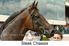 Sleek Chassis (14872 bytes)