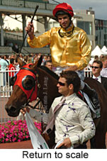 Return to scale (15361 bytes)