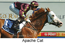 Apache Cat (14872 bytes)