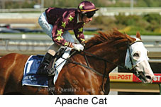 Apache Cat (14872 bytes)