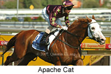 Apache Cat (14872 bytes)