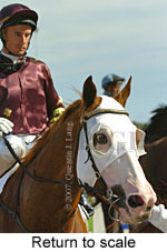 Return to scale (15361 bytes)